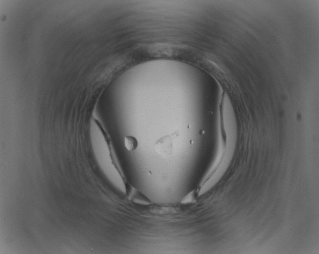 X0000067530125200604281709