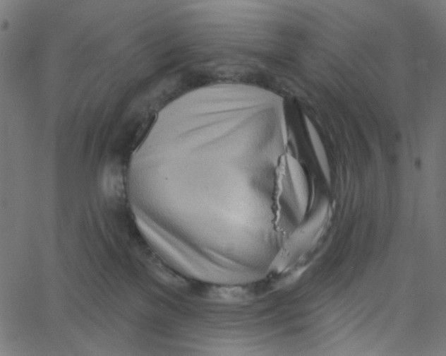 X0000067530137200604281709