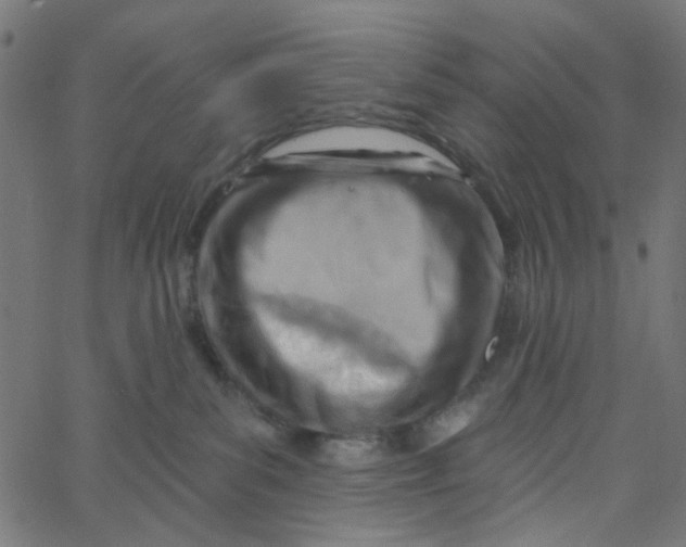 X0000067530139200604281709