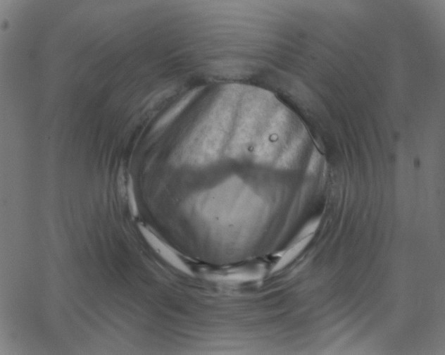 X0000067530143200604281709