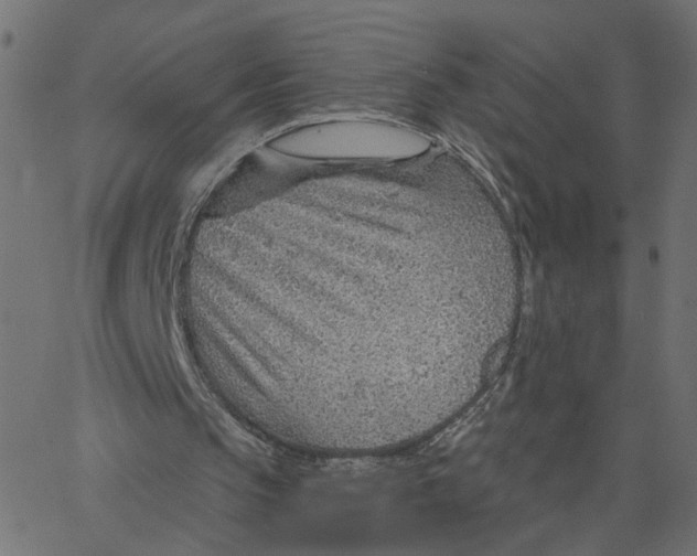 X0000067530145200604281708