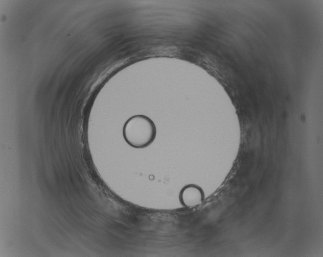 X0000067530146200604281708