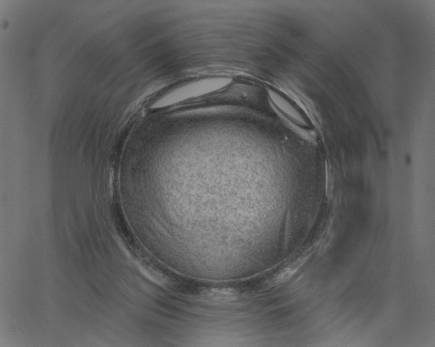 X0000067530157200604281708