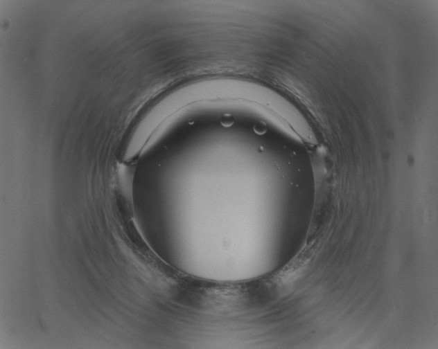 X0000067530164200604281709