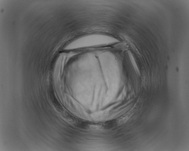 X0000067530167200604281709