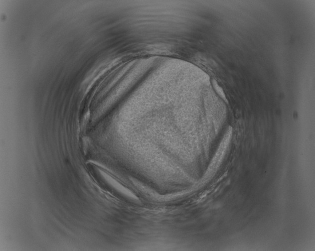 X0000067530194200604281708