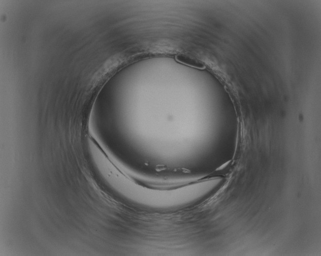 X0000067530201200604281708
