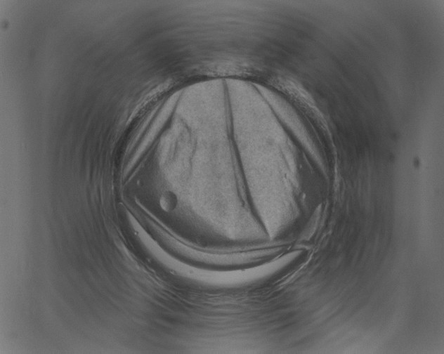 X0000067530202200604281708