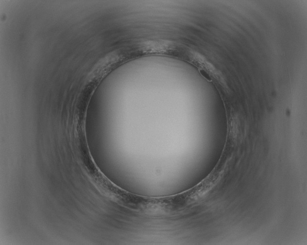 X0000067530209200604281708