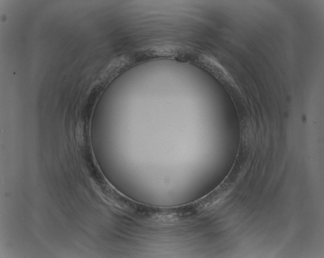 X0000067530213200604281708