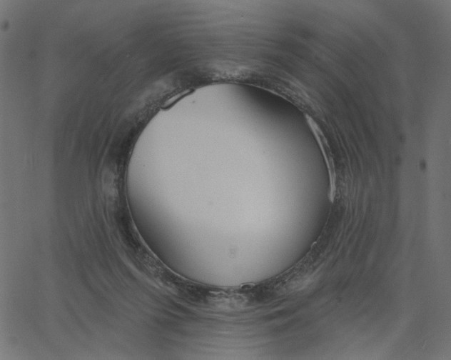 X0000067530215200604281708