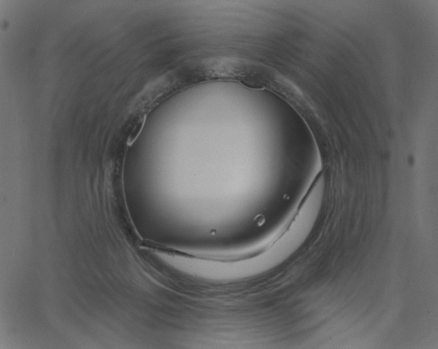 X0000067530217200604281708