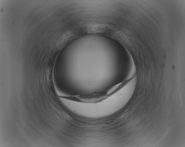 X0000067530219200604281708