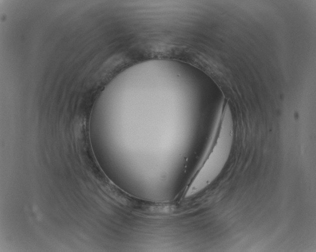 X0000067530225200604281708