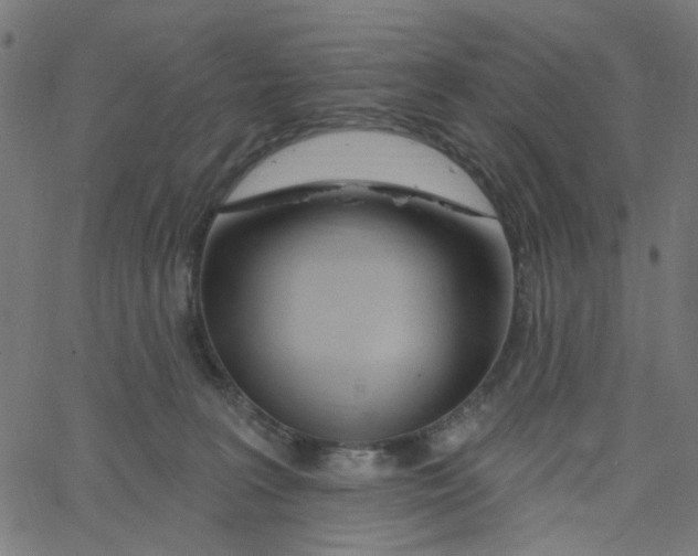 X0000067530227200604281708