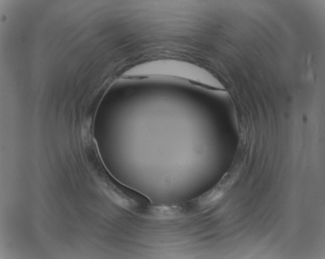 X0000067530239200604281707