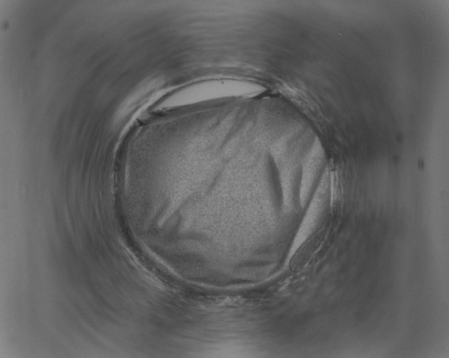 X0000067530243200604281707