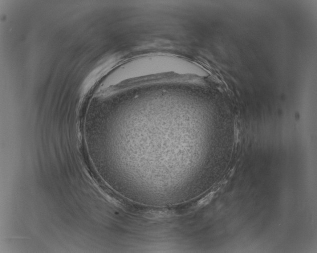 X0000067530245200604281707
