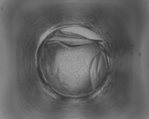 X0000067530246200604281707