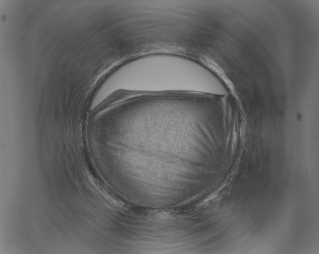 X0000067530249200604281707