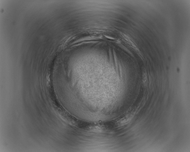 X0000067530259200604281707