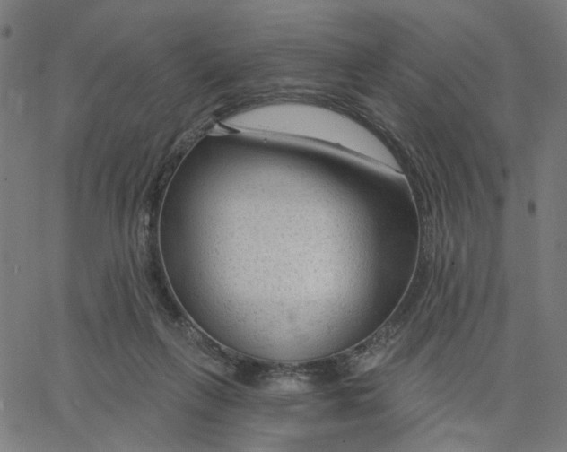 X0000067530263200604281707