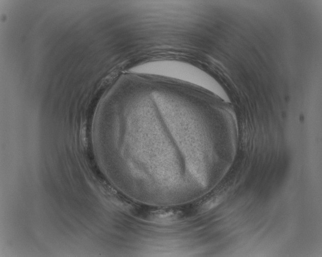 X0000067530267200604281707