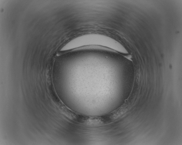 X0000067530270200604281707