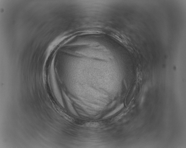 X0000067530294200604281707