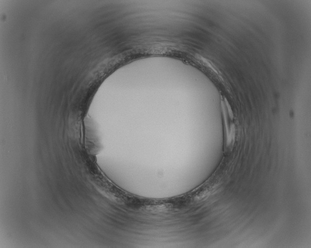 X0000067530307200604281706