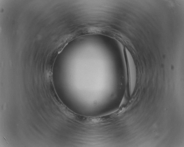 X0000067530329200604281706