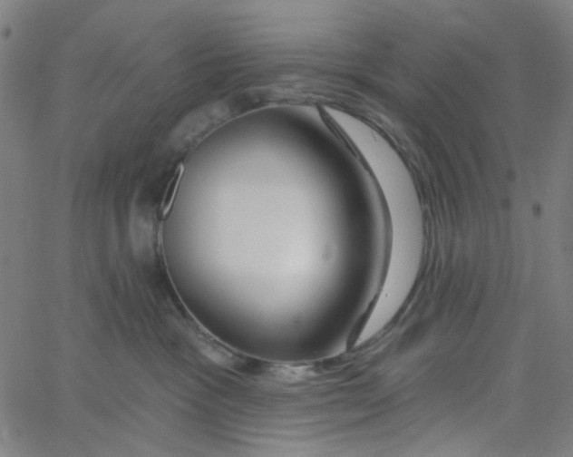 X0000067530333200604281706