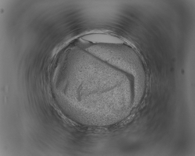 X0000067530337200604281705