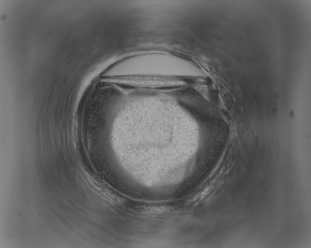 X0000067530342200604281705