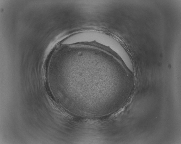 X0000067530343200604281705