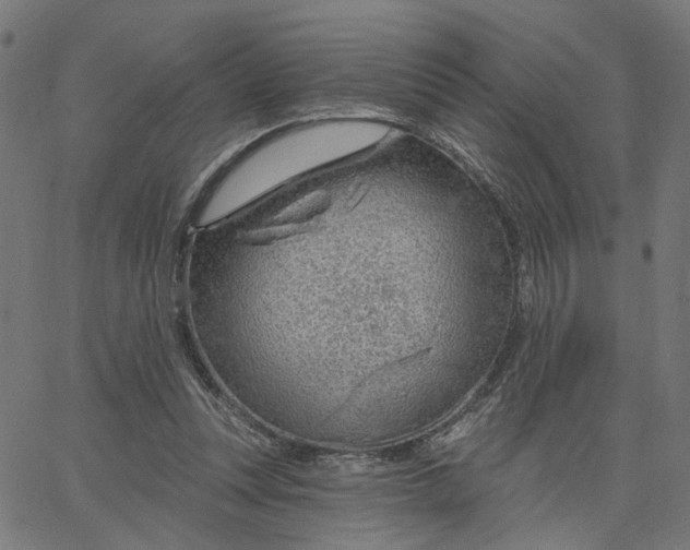 X0000067530351200604281705