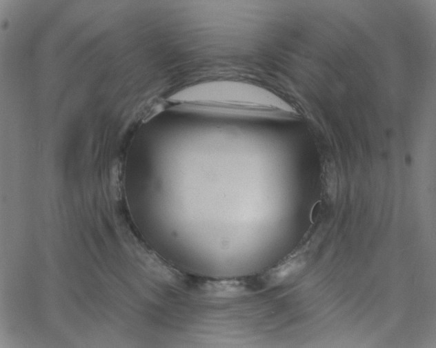 X0000067530378200604281706
