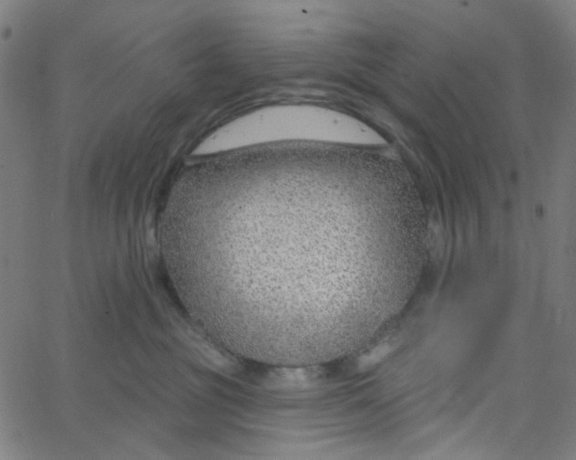 X0000067530381200604281706