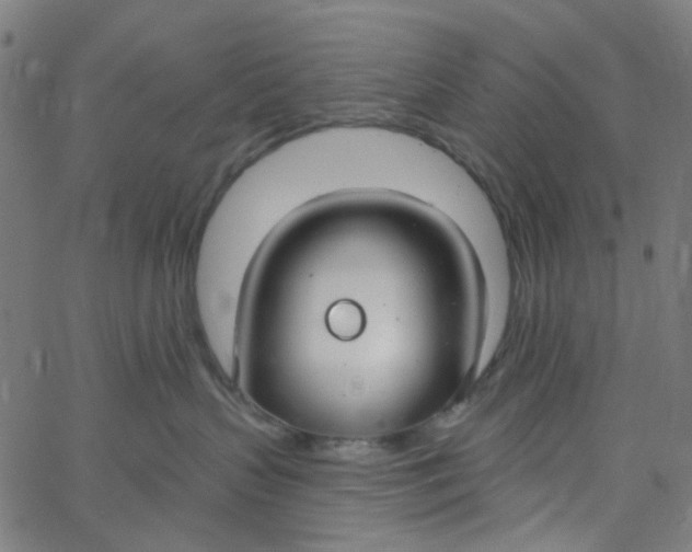 X0000067530383200604281706