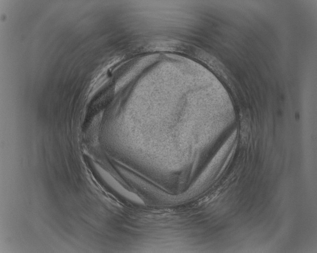 X0000067530386200604281705