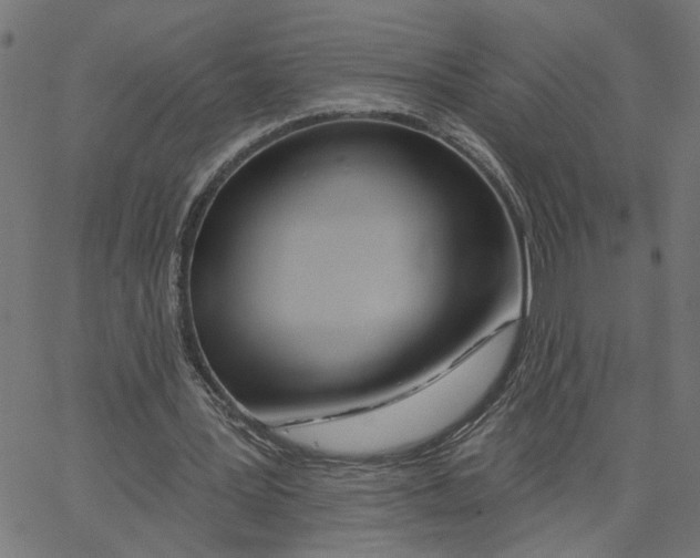 X0000067530387200604281705