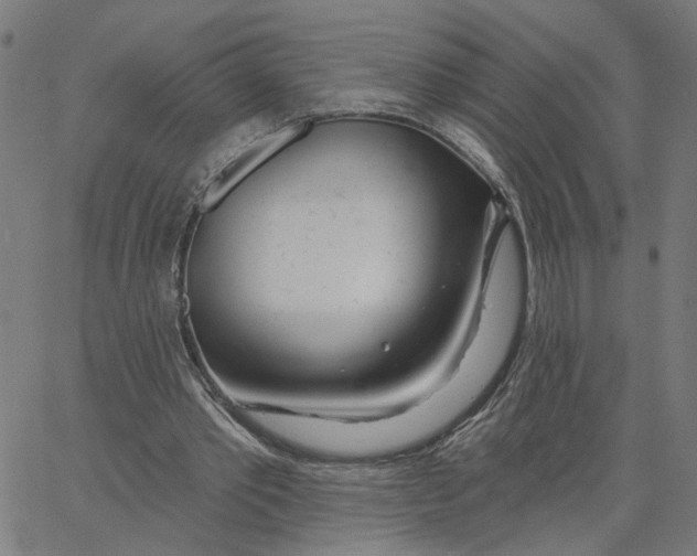 X0000067530389200604281705