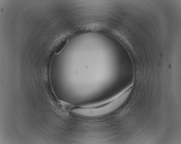 X0000067530403200604281705