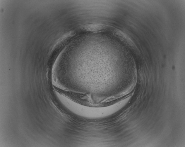 X0000067530404200604281705