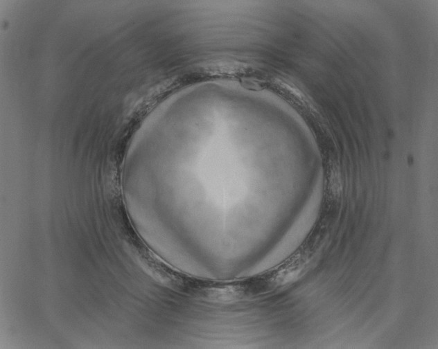 X0000067530411200604281705