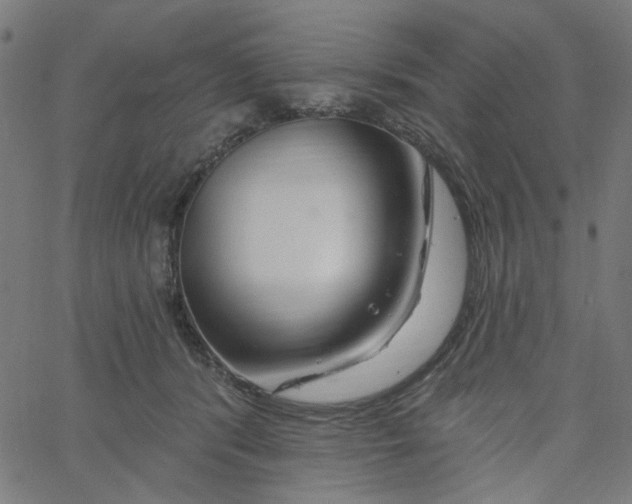 X0000067530416200604281705