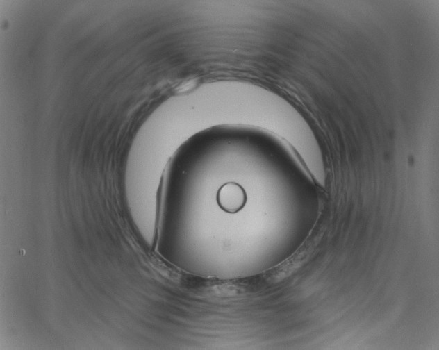 X0000067530423200604281704