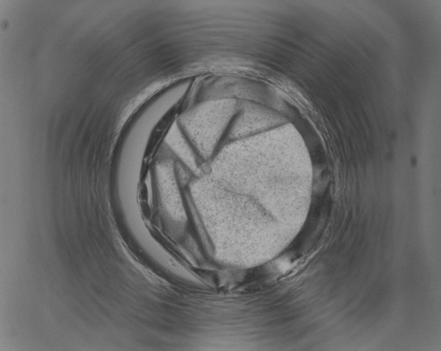 X0000067530438200604281704