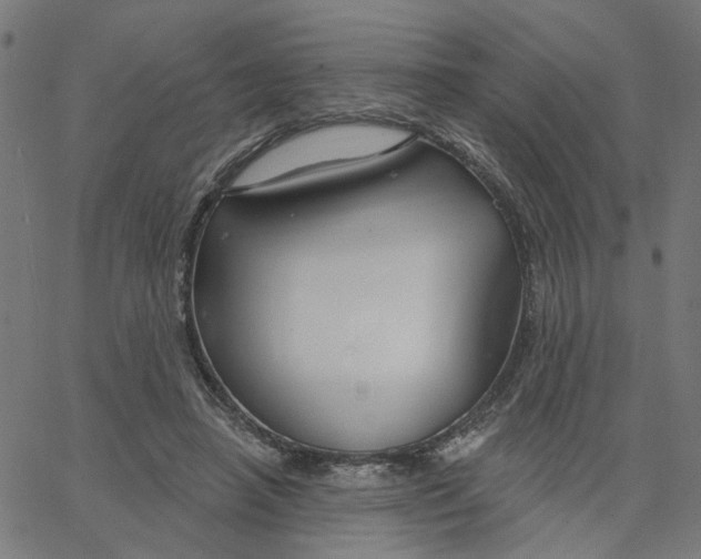 X0000067530450200604281704