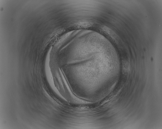X0000067530451200604281704
